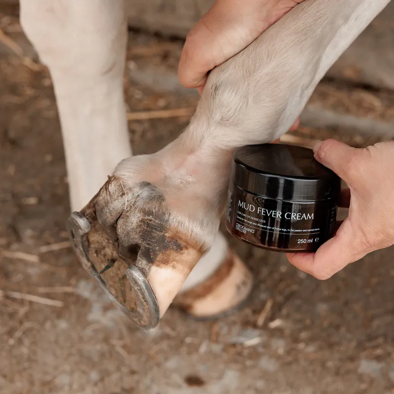 Grooming Deluxe Mud Fever Cream Plus-4