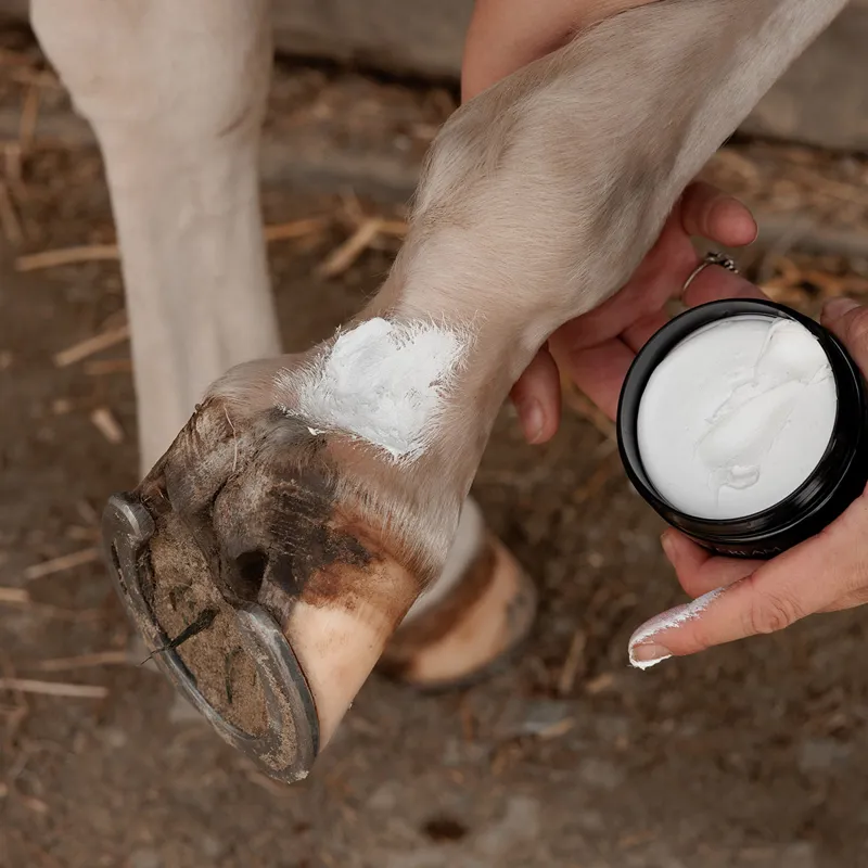 Grooming Deluxe Mud Fever Cream Plus-1