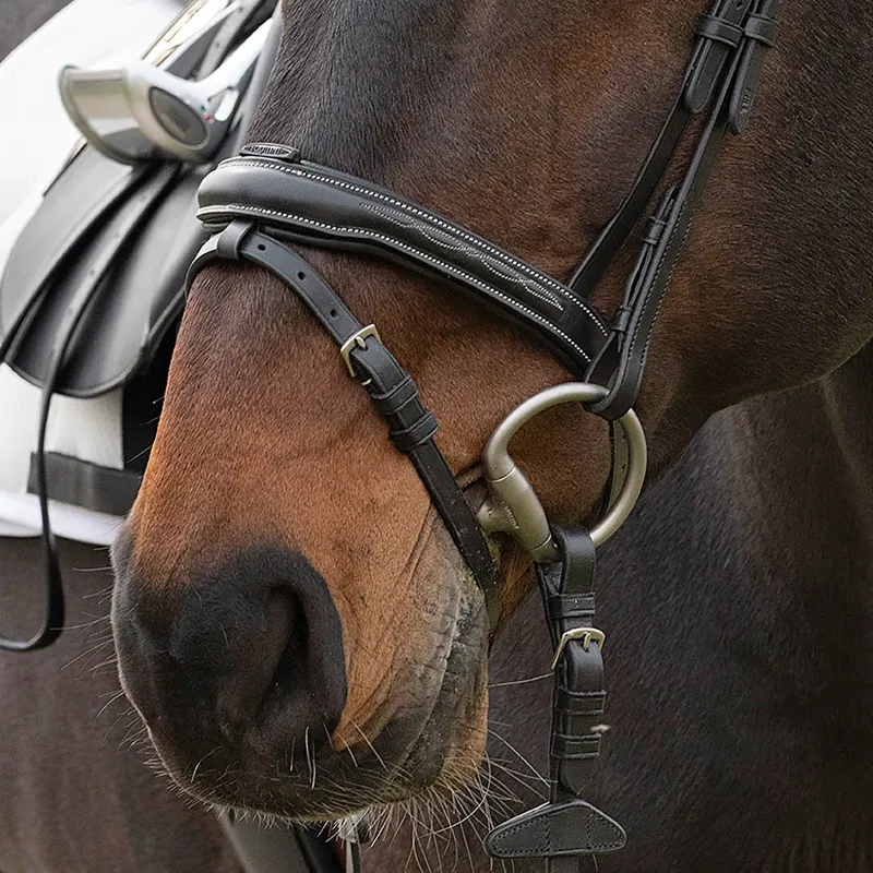 Equiline NB0450 Shaped Noseband with Removable Flash - Black-1
