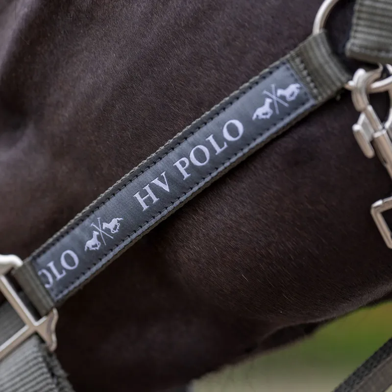 HV Polo Nena Headcollar - Stone-4