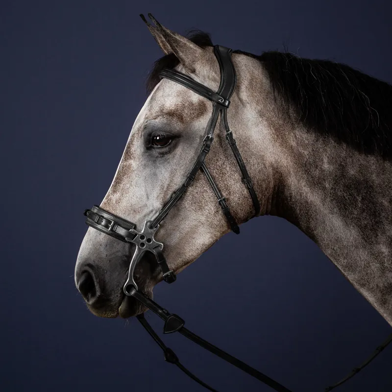 Dy'on New English Hackamore Bridle - Black-1