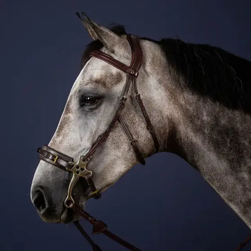 Dy'on New English Hackamore Bridle - Brown-1