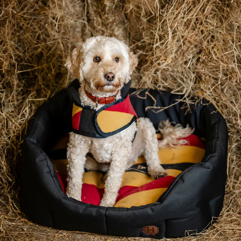 Horseware Newmarket Dog Bed - Witney Gold-4