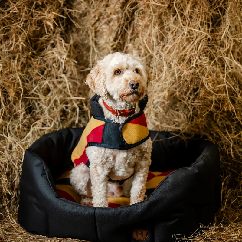 Horseware Newmarket Dog Bed - Witney Gold-3