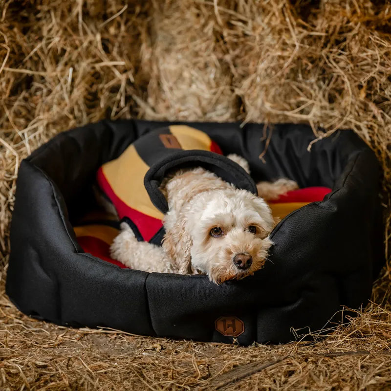 Horseware Newmarket Dog Bed - Witney Gold-2