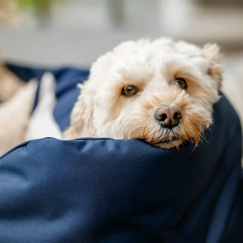 Horseware Newmarket Dog Bed - Witney Navy-5