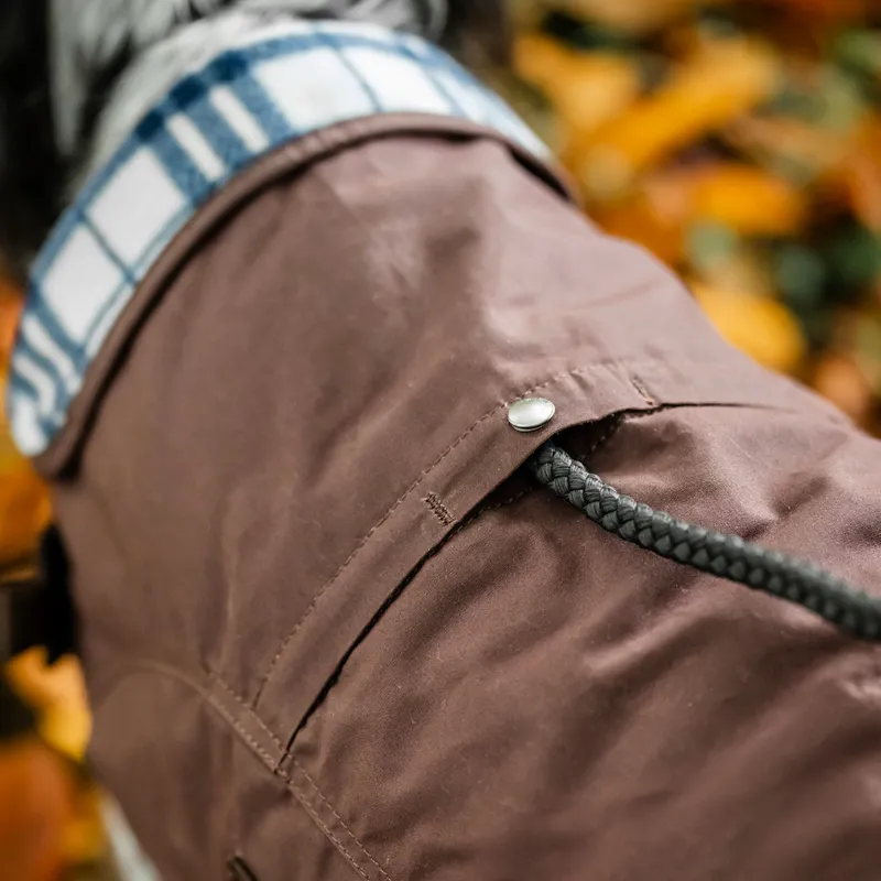 Horseware Newmarket Heritage Dog Coat - Brown/Witney Navy-10