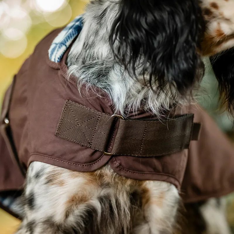 Horseware Newmarket Heritage Dog Coat - Brown/Witney Navy-4