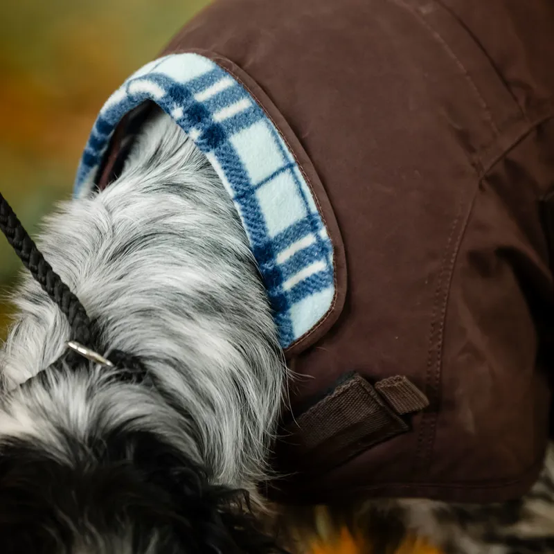 Horseware Newmarket Heritage Dog Coat - Brown/Witney Navy-3