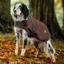 Horseware Newmarket Heritage Dog Coat - Brown/Witney Navy