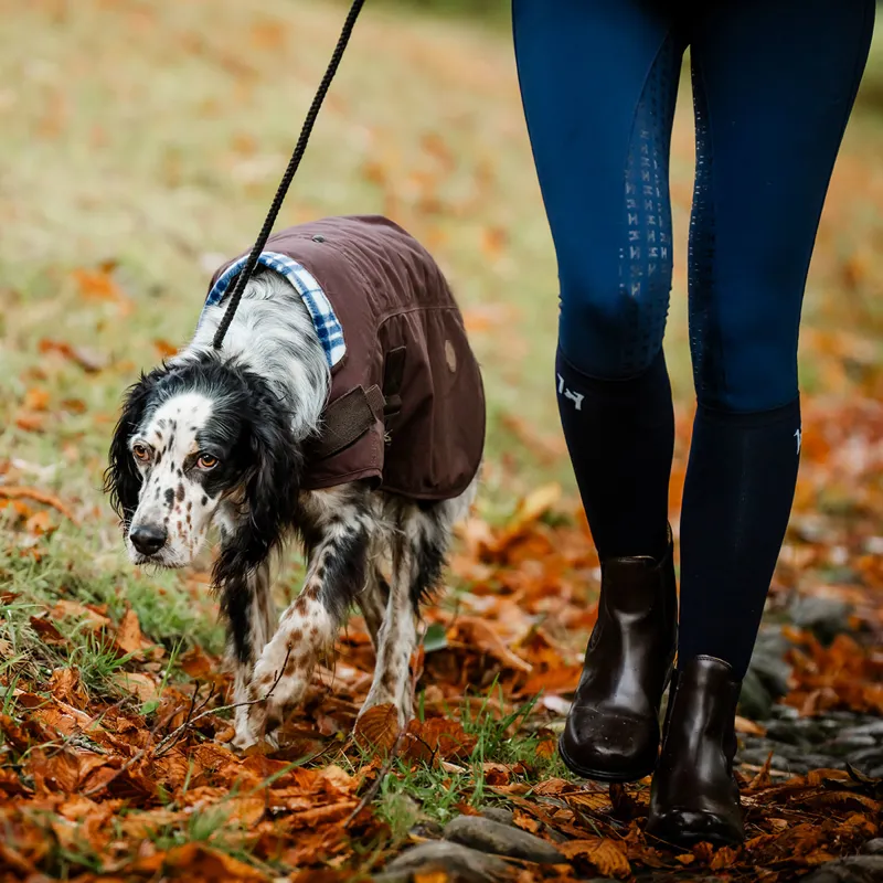 Horseware Newmarket Heritage Dog Coat - Brown/Witney Navy-2