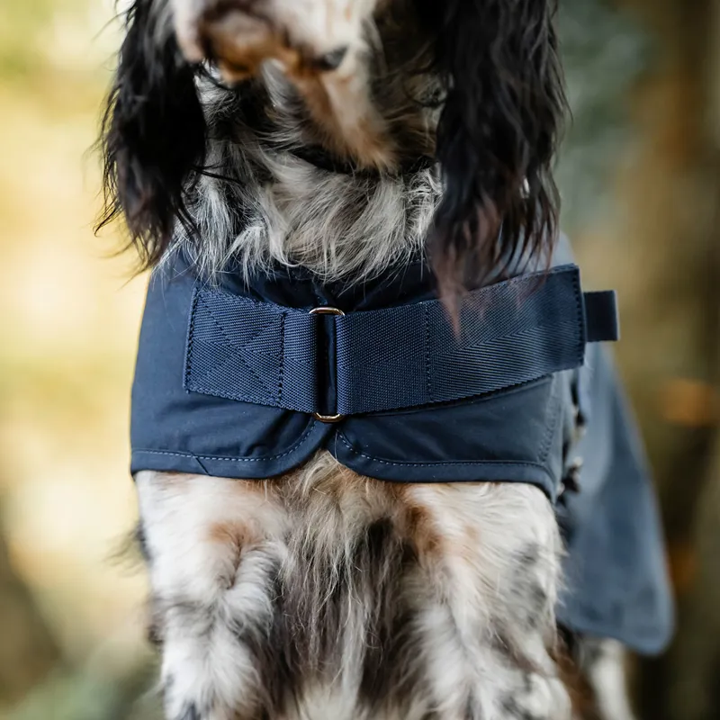Horseware Newmarket Heritage Dog Coat - Navy/Witney Navy-11