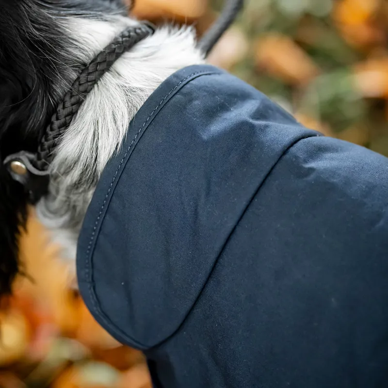 Horseware Newmarket Heritage Dog Coat - Navy/Witney Navy-7