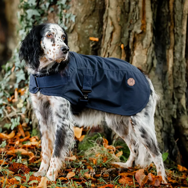 Horseware Newmarket Heritage Dog Coat - Navy/Witney Navy-2
