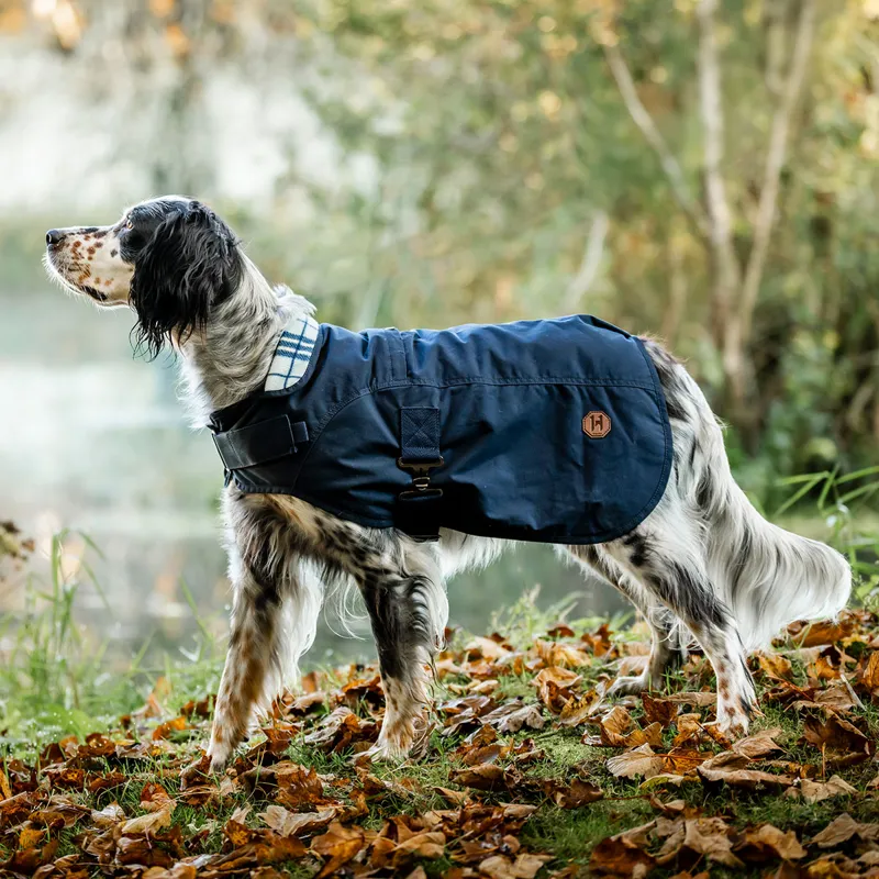 Horseware Newmarket Heritage Dog Coat - Navy/Witney Navy-1