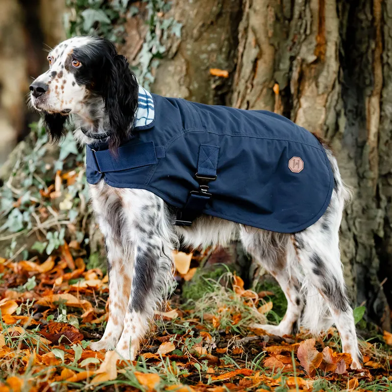 Horseware Newmarket Heritage Dog Coat - Navy/Witney Navy