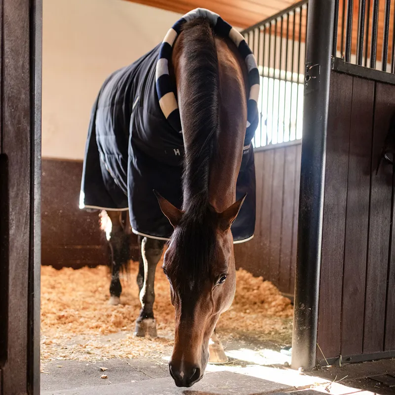 Horseware Newmarket Cosy 400g Stable Rug - Whitney Navy-11