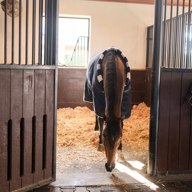 Horseware Newmarket Cosy 200g Stable Rug - Whitney Navy-10
