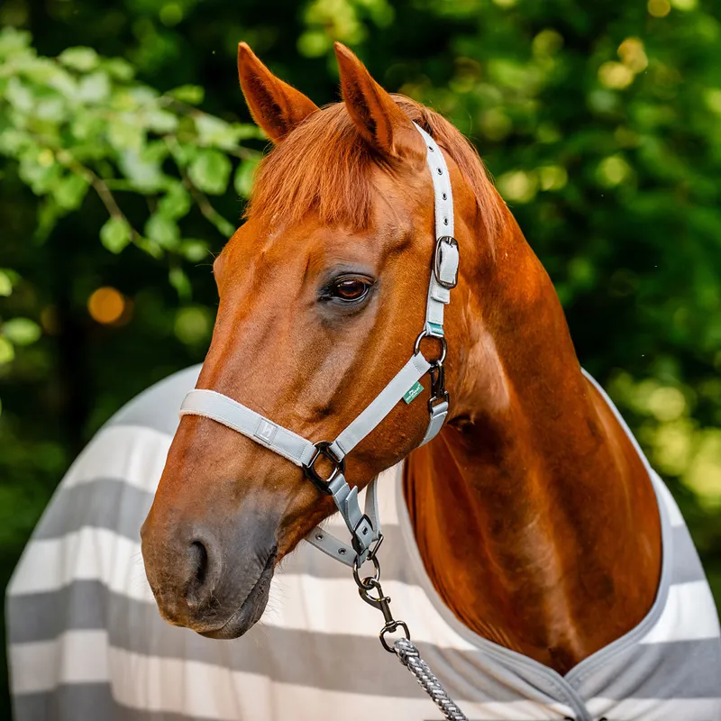 Horseware Newmarket Fleece Cooler Rug - Witney/Charcoal-1