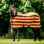 Horseware Newmarket Fleece Cooler Rug - Witney/Gold