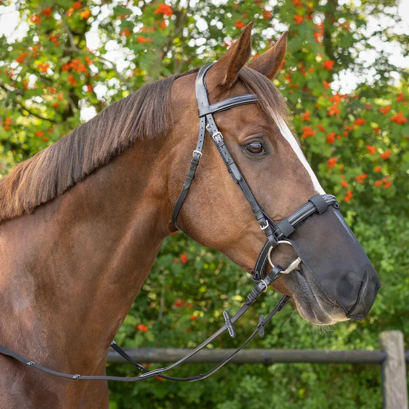 QHP Nose Net - Black