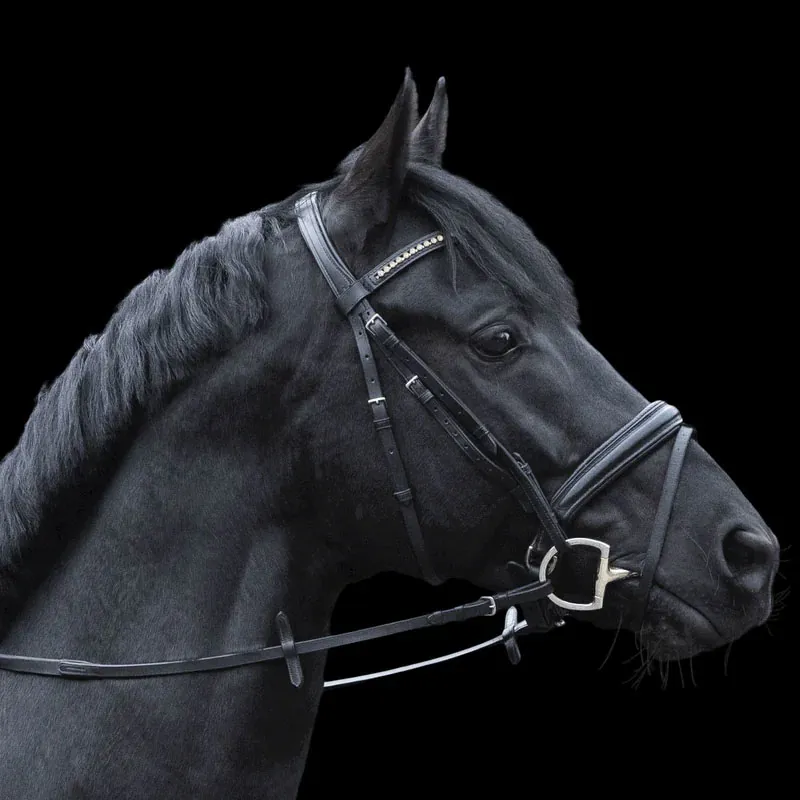 Sprenger Novocontact Double Jointed Eggbutt Sensogan Bit-5