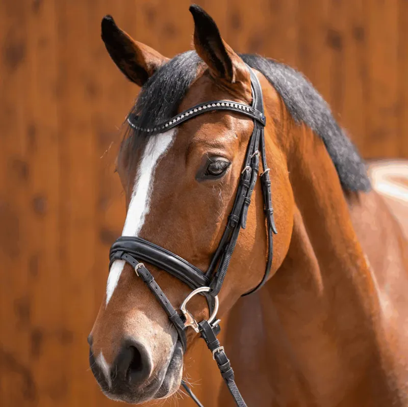 Sprenger Novocontact Double Jointed Eggbutt Sensogan Bit-4