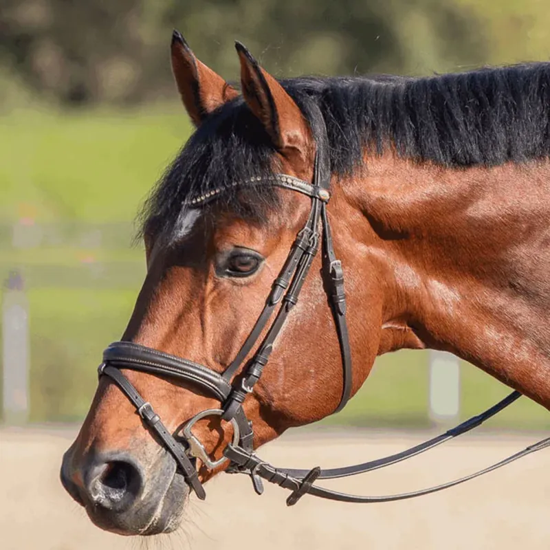 Sprenger Novocontact Double Jointed Eggbutt Sensogan Bit-3