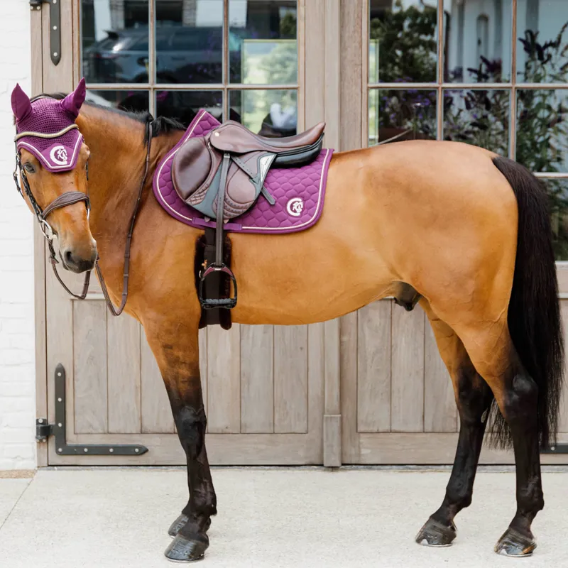 Kentucky 3D Logo Onion Quilt Jump Saddlecoth - Purple-1