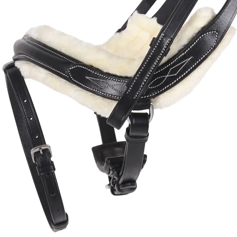 QHP Ontario Bridle - Black-4