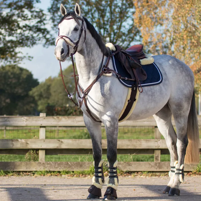 QHP Ontario Bridle - Brown-8