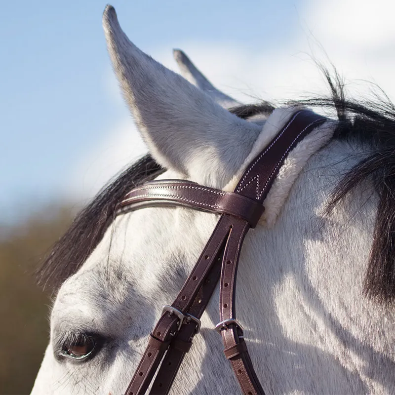 QHP Ontario Bridle - Brown-7