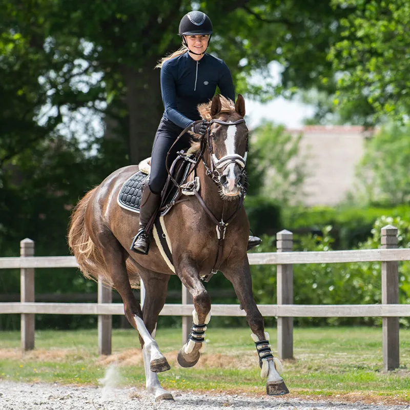 QHP Ontario Bridle - Brown-6