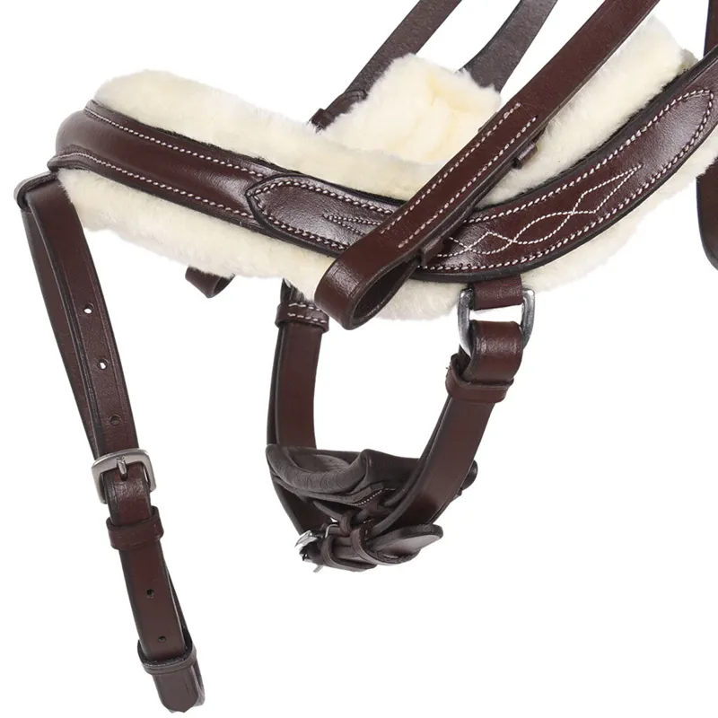 QHP Ontario Bridle - Brown-3