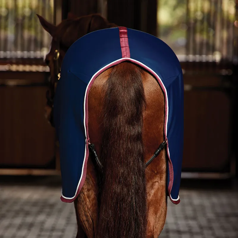 WeatherBeeta Opulence Show Sheet - Navy/Burgundy-3