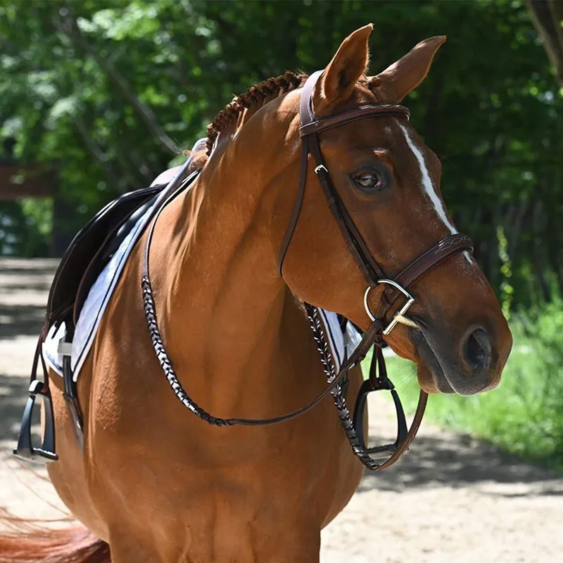 Antares Origin Hunter Bridle with Reins - Malt-3