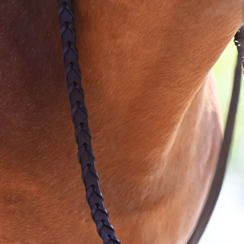 Antares Origin Hunter Bridle with Reins - Malt-2