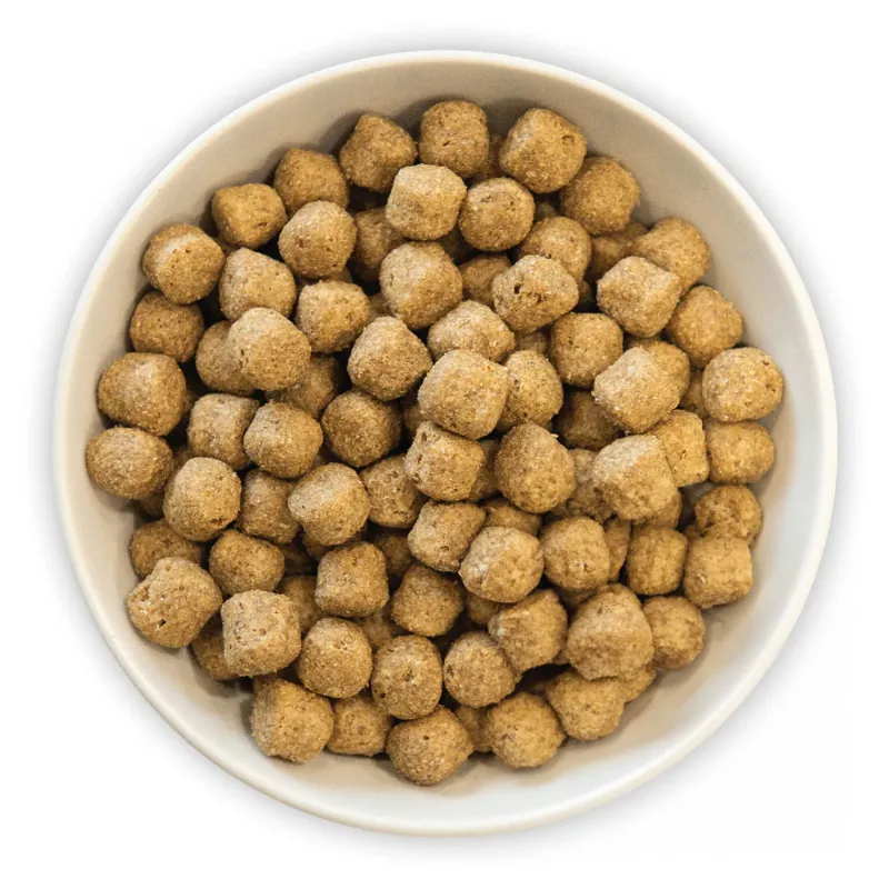 Burns Original Chicken and Brown Rice Dry Dog Food-1