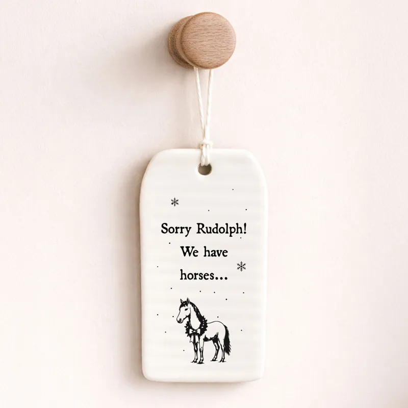 Vivid Squid Ceramic Kitchen Pendant - Rudolph