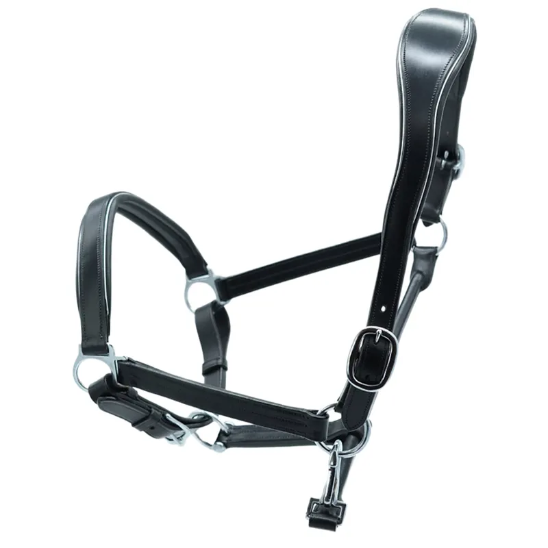 Dever Platinum Luxury Leather Padded Headcollar - Black-1