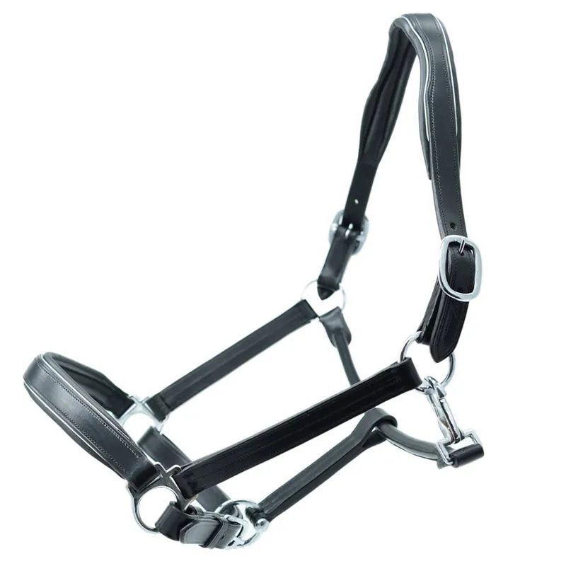 Dever Platinum Luxury Leather Padded Headcollar - Black