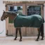 Kentucky PROTherm Cooler Rug - Dark Green