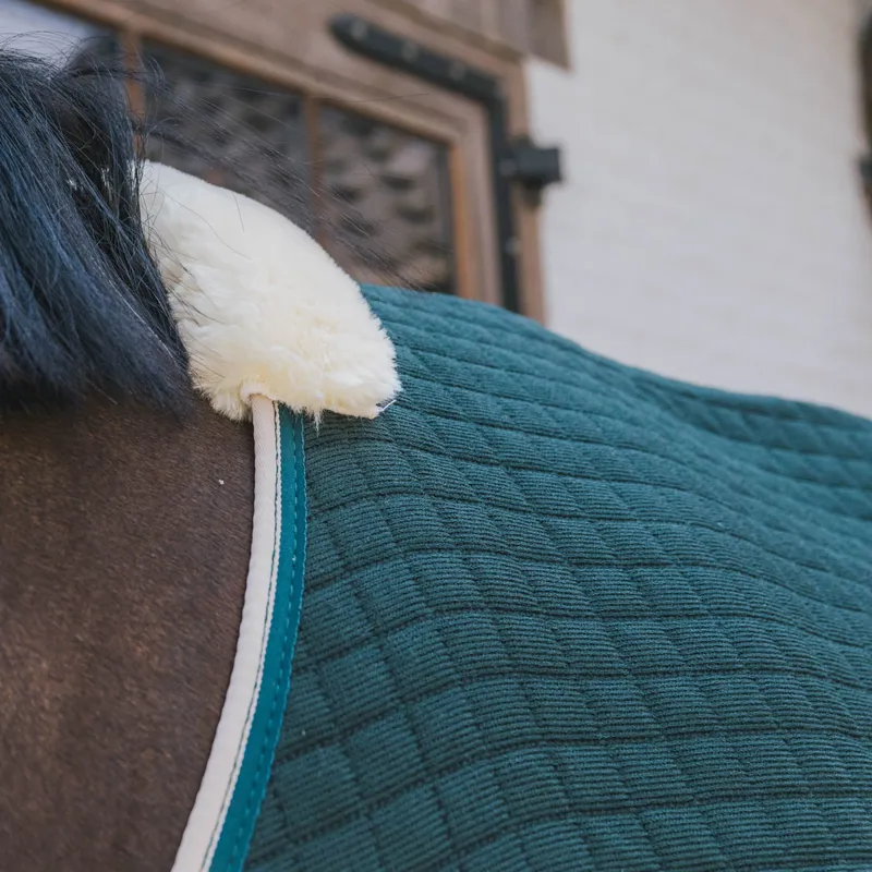 Kentucky PROTherm Cooler Rug - Dark Green-2