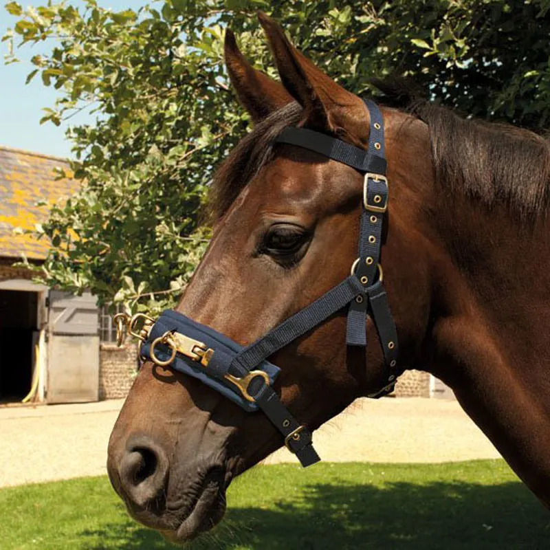 Rhinegold Nylon Padded Lunge Cavesson - Navy