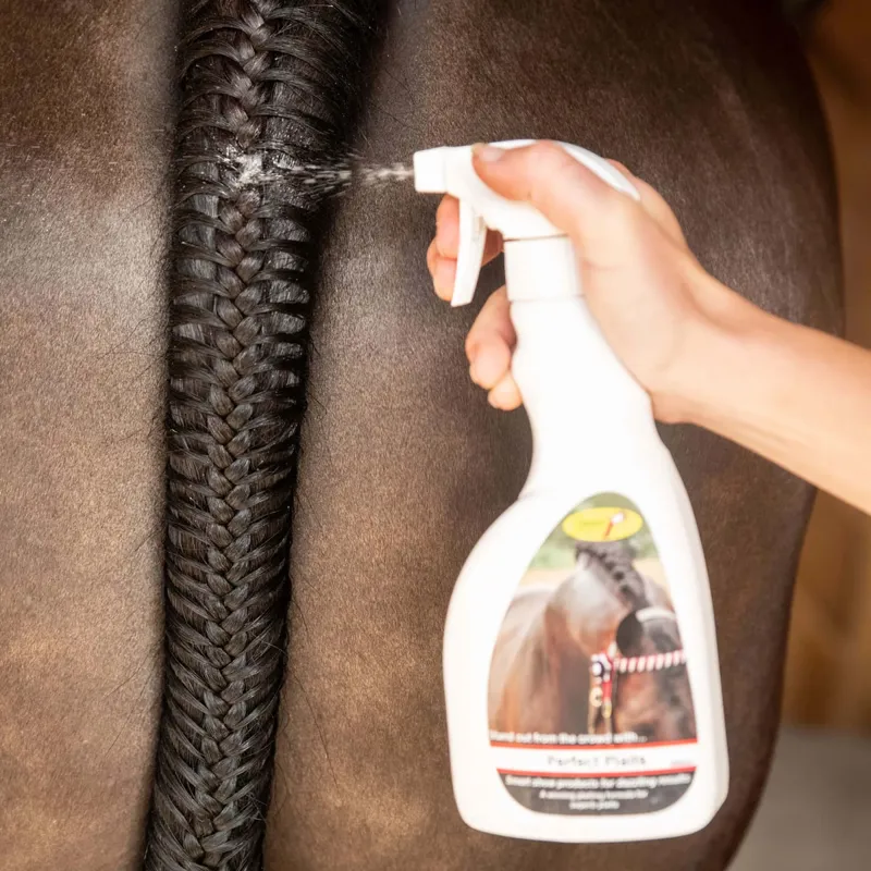 Smart Grooming Perfect Plaits Spray-1