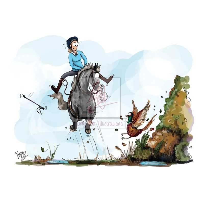 Emily Cole Greeting Card - A Pheasant Greeting-1