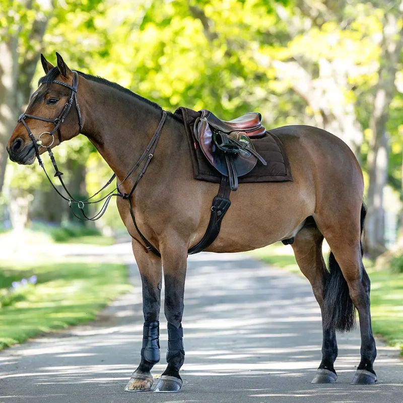 LeMieux Pillow Pad Saddlecloth - Brown-1