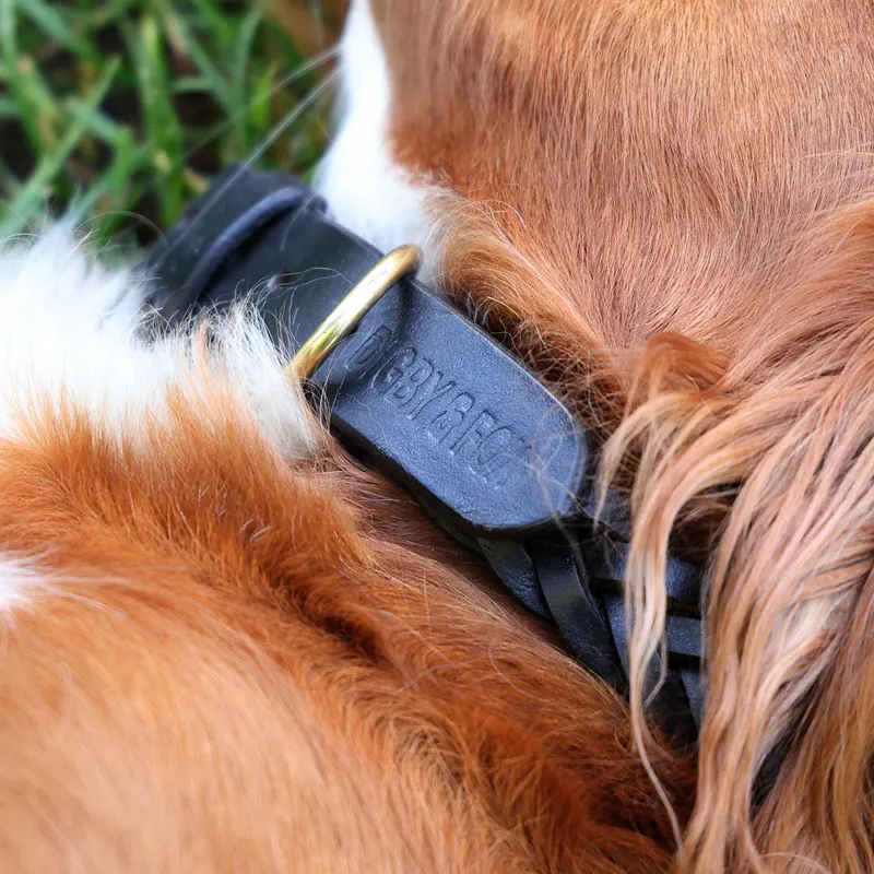 Digby and Fox Plaited Dog Collar - Brown-5