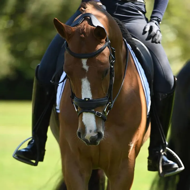 Antares Precision Large Crank Noseband Anatomic Bridle - Black-5