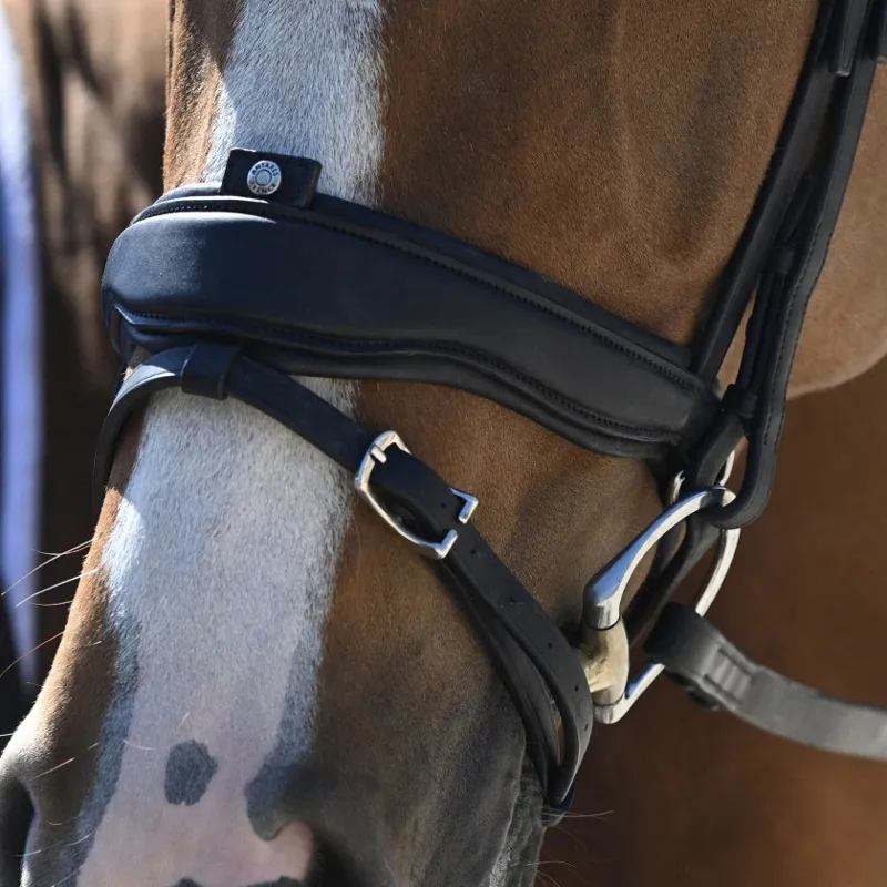 Antares Precision Large Crank Noseband Anatomic Bridle - Black-4